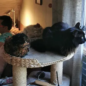  Appartement Wohnen Im Ampertal In Allemagne